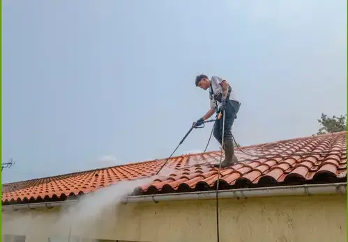 nettoyage terrasses Barbâtre-5