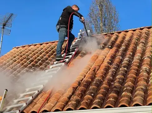 nettoyage toiture Aizenay-5