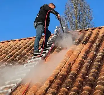 nettoyage toiture Barbâtre-1