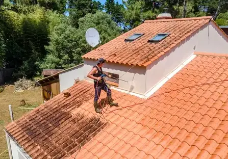 nettoyage toiture Bretignolles-sur-Mer-1
