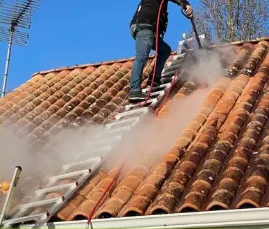 nettoyage toiture à Montaigu-Vendée - image 3