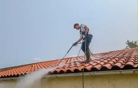 nettoyage toiture Montaigu-Vendée-5