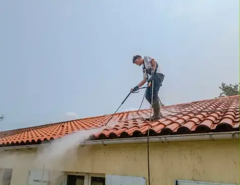 nettoyage toiture Roche-sur-Yon-1