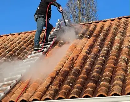 nettoyage toiture à Roche-sur-Yon - image 3