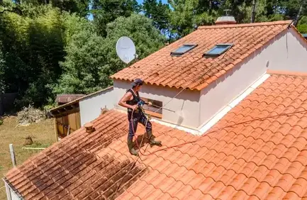 nettoyage toiture Roche-sur-Yon-5