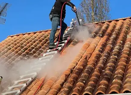 nettoyage toiture Saint-Gilles-Croix-de-Vie-1