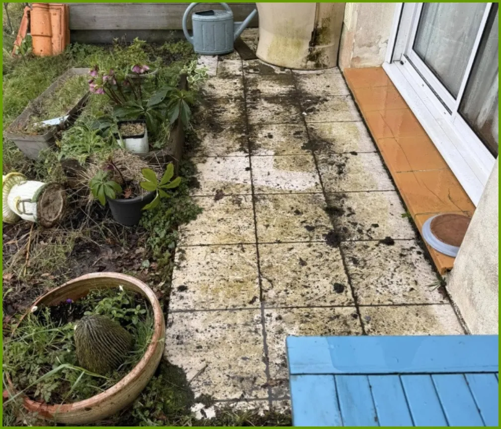 before-image