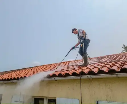 nettoyage toiture à Saint-Jean-de-Monts - image 3