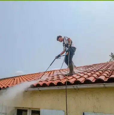 nettoyage toiture Soullans-1