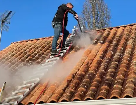 nettoyage toiture Soullans-5